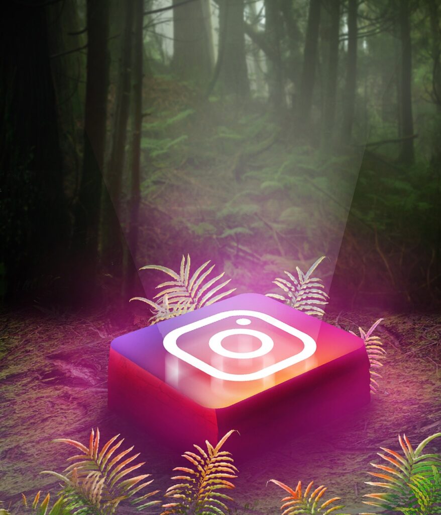 instaggram, icon, network